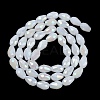 Opaque Solid Color Electroplate Glass Beads Strands EGLA-N013-J6mm-B03-2