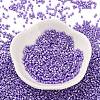 Baking Paint Glass Seed Beads SEED-S042-15B-32-2