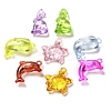 Transparent Acrylic Pendants OACR-Z016-24-1