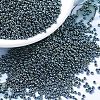 MIYUKI Round Rocailles Beads SEED-G007-RR0456-1