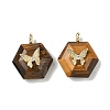 Natural Tiger Eye Faceted Pendants G-P585-01G-10-1