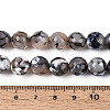 Dyed & Heated Natural Fire Crackle Agate Beads Strands G-N359-01B-04-5