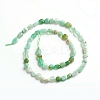 Natural Chrysoprase Beads Strands G-D0002-B21-2