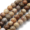 Natural Fossil Coral Beads Strands X-G-G763-12-6mm-1