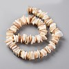 Natural Freshwater Shell Beads Strands SHEL-C001-10-2