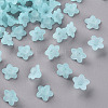 Transparent Acrylic Beads PL554-11-1