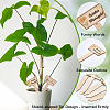 2 Bags Wooden Plant Labels DIY-CP0012-70-5