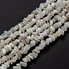 Natural Rainbow Moonstone Beads Strands X-G-A200-02-4