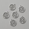 Tibetan Style Alloy Charms FIND-CJC0006-41AS-2