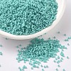 MIYUKI Delica Beads SEED-MY11-DB1136-4