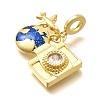 Brass Enamel Airplane & Earth & Camera European Dangle Charms KK-M309-18G-01-3