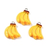 Opaque Resin Pendants RESI-S013-02L-1