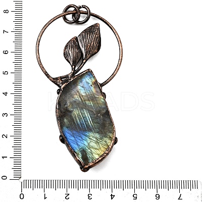 Natural Labradorite Feather Ring with Leaf Big Pendants G-Q350-04A-1