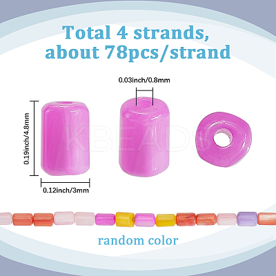 4 Strands Natural Freshwater Shell Dyed Beads Strands SHEL-SC0001-75-1