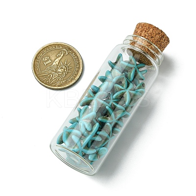 2Pcs Transparent Glass Wishing Bottle Decoration PALLOY-JF03374-1