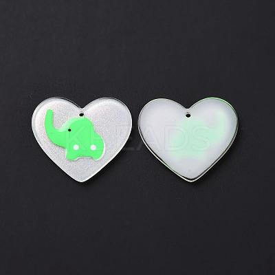 Acrylic Pendants FIND-A022-02F-1