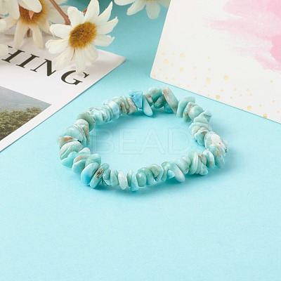Natural Larimar Chip Beads Stretch Bracelets for Children BJEW-JB06389-02-1
