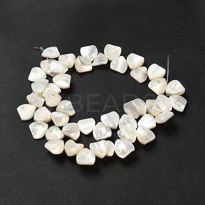 Natural White Shell Beads Strands SHEL-G014-15-1
