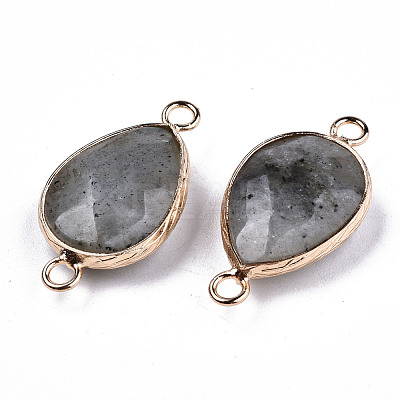Natural Labradorite Links Connectors G-T131-49F-1