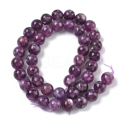 Natural Lepidolite/Purple Mica Stone Beads Strands G-C270-O05-14-1