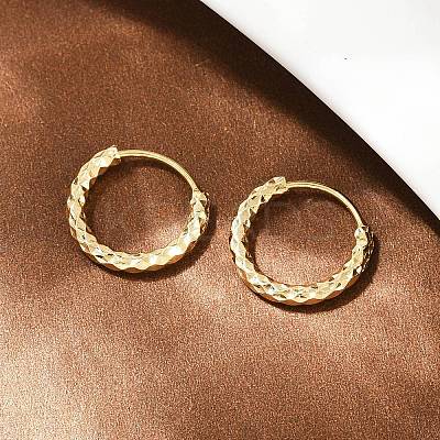 Brass Textured Hoop Earrings EJEW-F378-03A-G-1