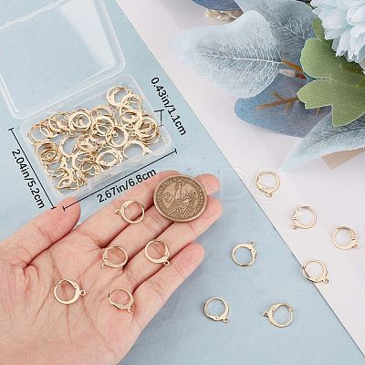 60Pcs 304 Stainless Steel Leverback Earring Findings DIY-CN0002-54-1