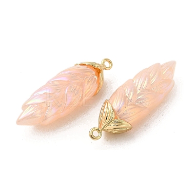 Rainbow Iridescent Plating Resin Pendants RESI-C047-03A-G-1