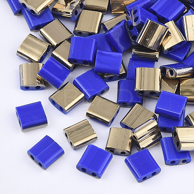 FGB 2-Hole Glass Seed Beads SEED-S031-L-048-G-1