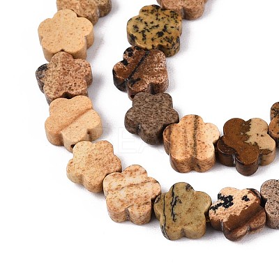 Natural Picture Jasper Beads Strands G-N257-24A-08-1