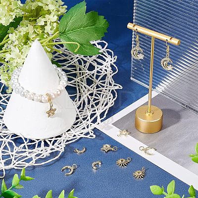12Pcs 6 Style Brass Cubic Zirconia Charms ZIRC-FH0001-36-1