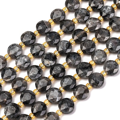 Natural Larvikite Beads Strands G-C116-A30-02-1
