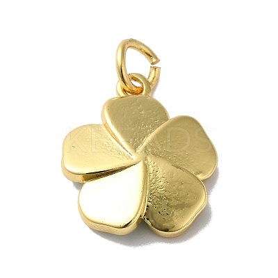 Rack Plating Brass Enamel Charms KK-O142-56G-01-1