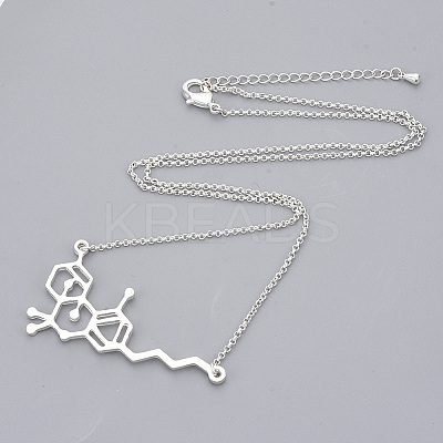 Unisex Alloy Pendant Necklaces NJEW-T010-01S-NF-1
