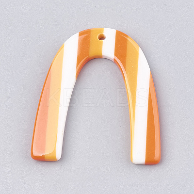 Resin Pendants CRES-T008-38E-1
