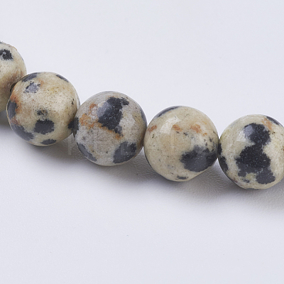 Natural Dalmation Jasper Beads Strands G-G515-6mm-06-1