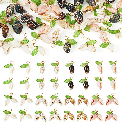 48Pcs 8 Styles Natural Shell Copper Wire Wrapped Shell Shaped Pendants PALLOY-TA00260-1