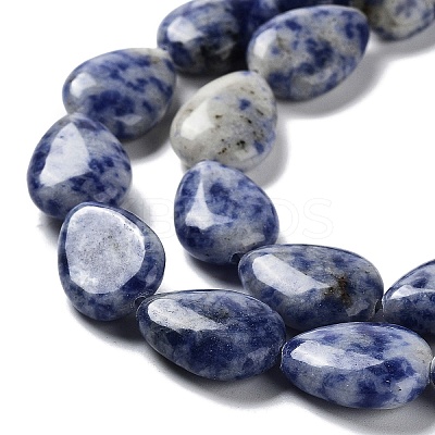 Natural Blue Spot Jasper Beads Strands G-L242-33-1