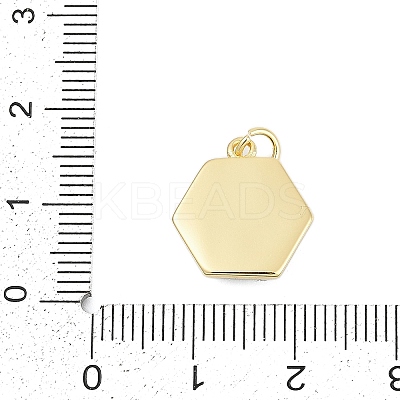 Brass Enamel Charms KK-G522-11G-1