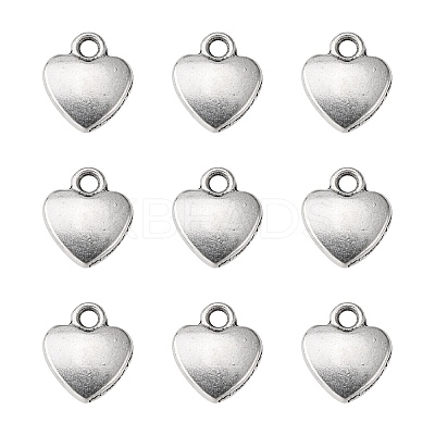 Tibetan Style Alloy Charms LS-X-LF1170Y-1