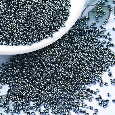 MIYUKI Round Rocailles Beads SEED-G007-RR0456-1