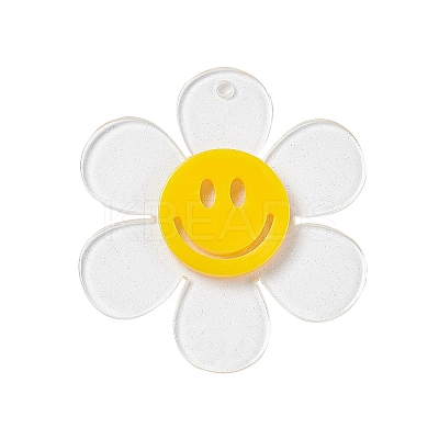 Transparent Acrylic Big Pendants OACR-P012-A06-1