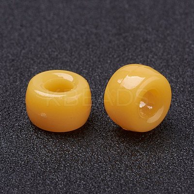 Opaque Acrylic European Large Hole Beads PL338-74-1