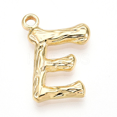 304 Stainless Steel Pendants STAS-N117-01G-E-1