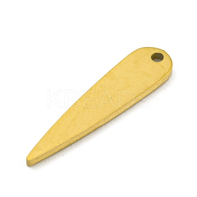 304 Stainless Steel Pendants STAS-R228-04G-1