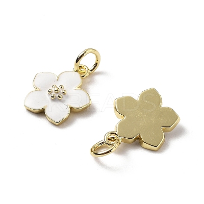 Brass Enamel Charms KK-Z114-23G-02-1