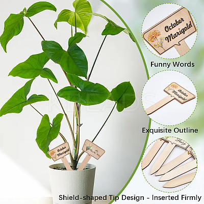 2 Bags Wooden Plant Labels DIY-CP0012-70-1
