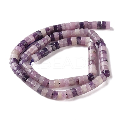 Natural Lepidolite/Purple Mica Stone Beads Strands G-M420-A19-01-1