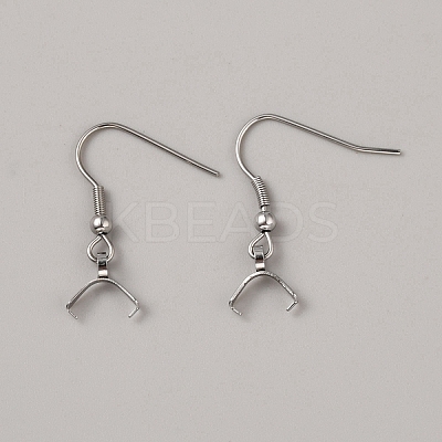 304 Stainless Steel Earring Hooks STAS-WH0027-70P-1