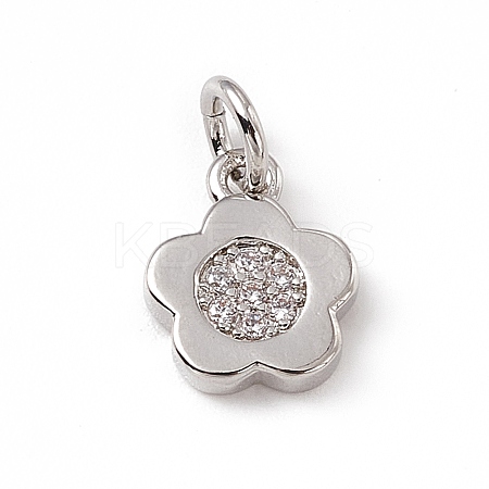 Brass Micro Pave Cubic Zirconia Charms ZIRC-F132-65P-1