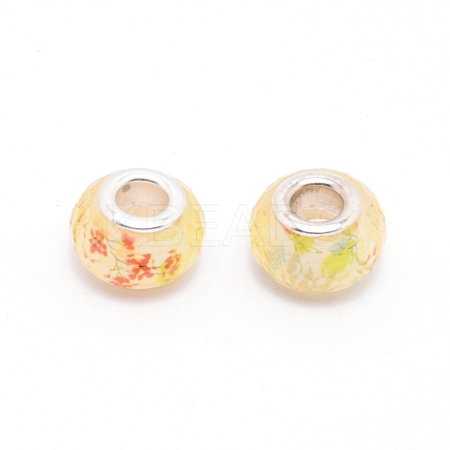 Resin European Beads LS-RPDL-TAC0002-02B-1